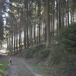 Appartement Rothaarsteig Kirchhundem