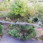 Rothaarsteig Appartement *