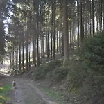 Appartement Rothaarsteig Kirchhundem