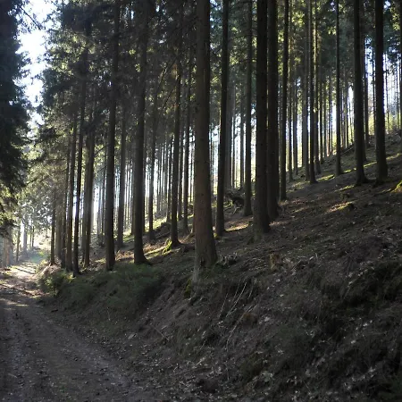 Rothaarsteig * Kirchhundem