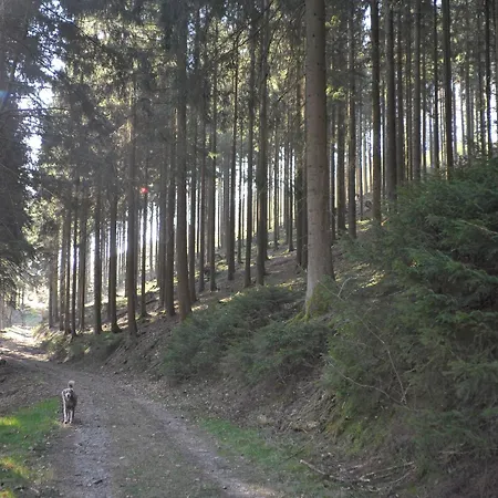 Appartement Rothaarsteig Kirchhundem