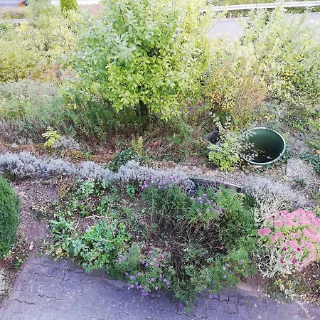 Rothaarsteig Appartement *