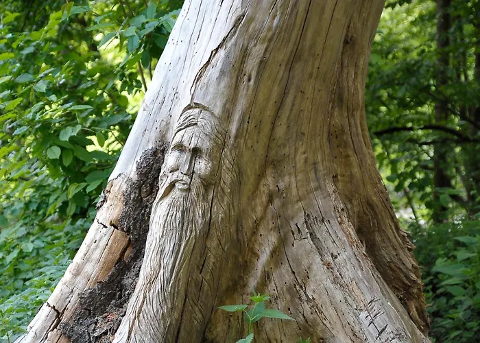 Rothaarsteig Appartement Kirchhundem