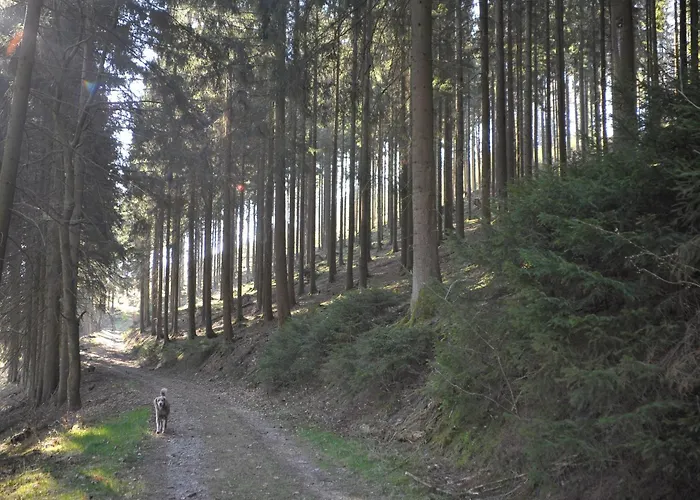 Daire Rothaarsteig Kirchhundem