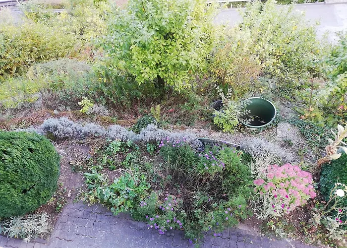 Rothaarsteig Daire *